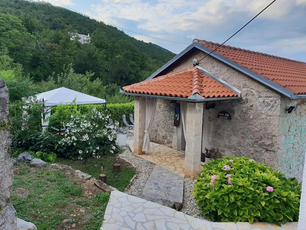 House Iva Villa Lovran Holiday home